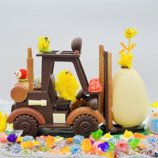 CARRETILLA ELEVADORA